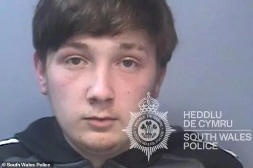 Teen father, 19, blamed pet dog for baby's 'irreparable' brain damage after violently shaking them