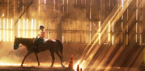 Top 8+ best places to go horseback riding in Indiana before the cold weather hits
