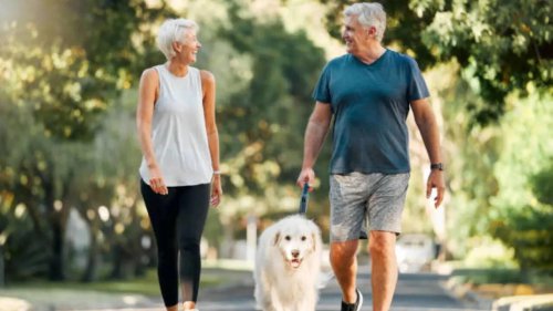 Should You Take a Walk in the Morning or Evening for Maximum Benefits?
