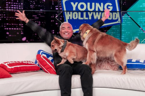 What is Cesar Millan, the Dog Whisperer, doing now?