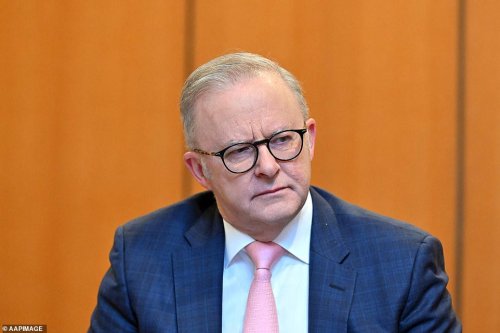 Anthony Albanese slams Israel over Gaza starvation claims