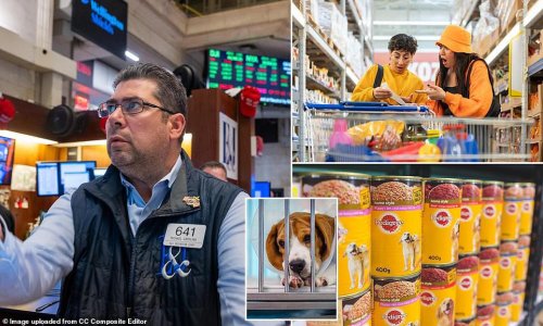 Sign of economic strain: More people are giving up their pets