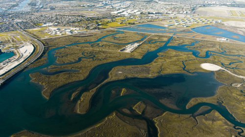 California's Coastal Wildlife Refuge Near Los Angeles Is An Underrated Beachy Gem To Spot Marine Life And Birds