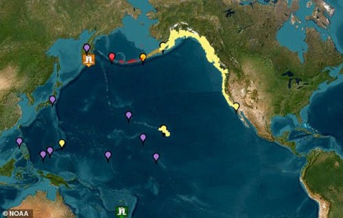 How to prepare for tsunami as millions in US under threat