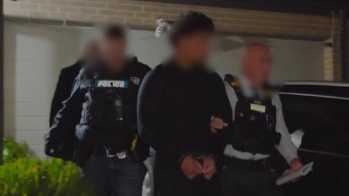 Cops investigating foreign criminals' role in Melbourne synagogue attack