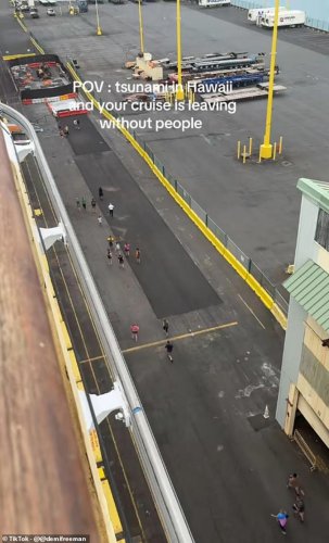 Cruise ships are abandoning ports leaving passengers stranded amid tsunami fears