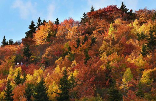Are national parks closed during the government shutdown? Info in NC