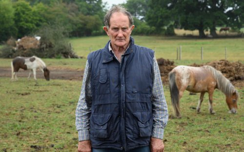 &lsquo;I found a group of travellers with my Shetland pony &ndash; days later six horses were gone&rsquo;