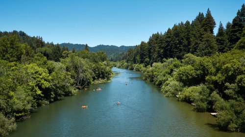 Two Hours From San Francisco Is California's State Park With Endangered Animals, A Swim Cove, And Family Campsites