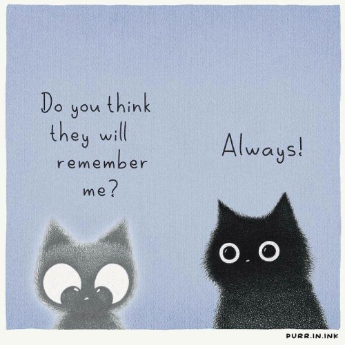 Top 27+ Times This Artist Made Illustrations That Capture The Essence Of Cats Perfectly
