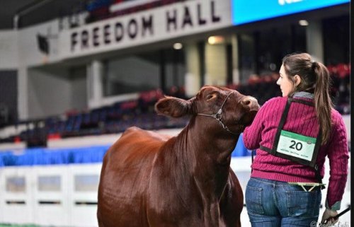 How this fifth generation Kentuckian says the State Fair shaped her future as a veterinarian