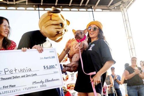'World's ugliest dog' contest crowns new winner