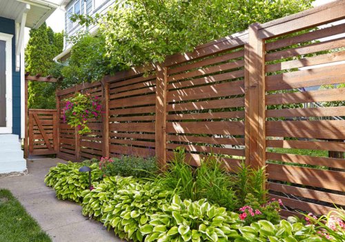 Top 6+ Budget-Friendly Fence Ideas to Create Privacy Without Breaking the Bank