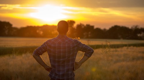 Top 10+ Things Nobody Warns You About Owning Land