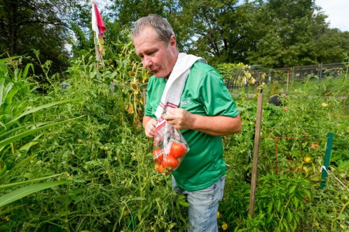 We asked an AI bot 5 common gardening questions. Here's how many answers it got correct