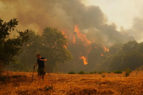 Latest Greece travel advice as wildfires hit mainland