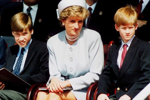 The One Value Prince Harry and Prince William Still Share That Is 'Pure Diana' (Exclusive)