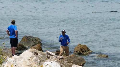 Gator spotted enjoying a 'spa day' near East Beach in Galveston