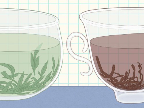 Green and Black Tea Come From the Same Plant&mdash;So Why Do They Taste So Different?