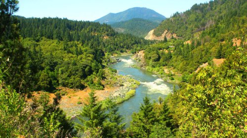 California's 'River That Came Back To Life' Thrives With Wildlife And Adventure After Hiding For Decades