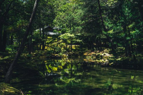 Top 10+ Best Things to Do in Kyoto, for UNESCO World Heritage Sites, Craft Workshops, and Cherry Blossom Paths