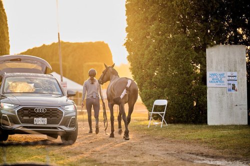 Scenes from the Hamptons Classic, now fully underway in Bridgehampton