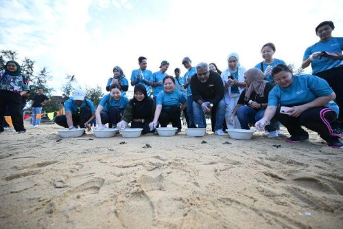 Resorts World Kijal And Fisheries Dept Boost Turtle Conservation At Kijal Beach