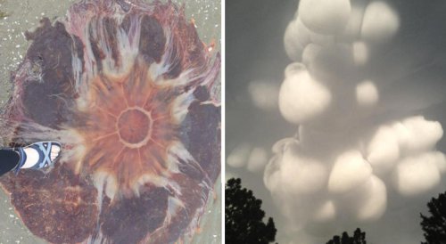 Top 20+ Photos of Things People Spotted Before the Rest of the Internet Was Able to