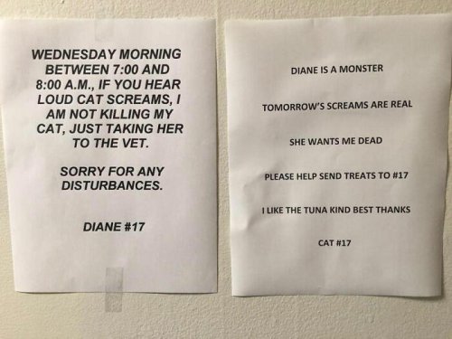 Top 23+ Times Cats Acted So Audacious That Their Owners Put Up A Sign To Warn Others About Their Ways