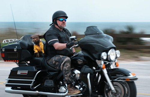 What are Florida's 'most scenic drives'? Hint: 2 of them are in Flagler, Volusia area