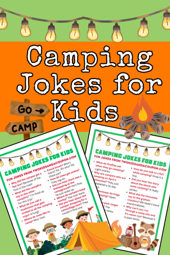 Top 20+ Cute Camping Jokes for Kids