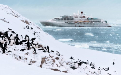 The eight best wildlife cruises to book now