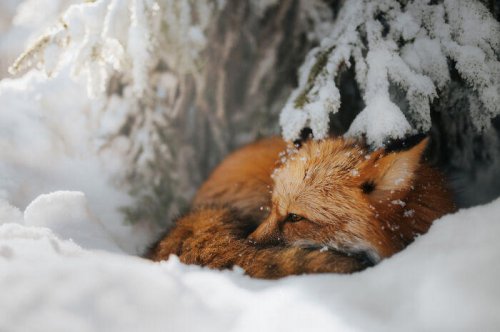 &ldquo;Our World Is Beautiful&rdquo;: Here Are The Best Photos From The CEWE Photo Award 2021 (29 Pics)