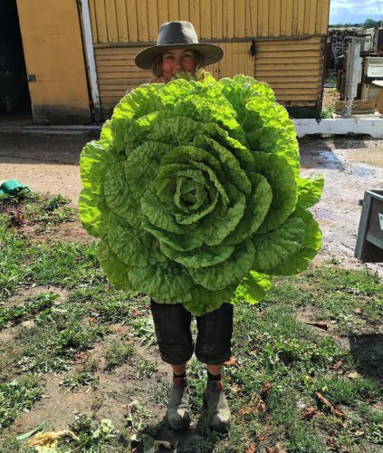 Top 50+ Times People Absolutely Won The Food Lottery