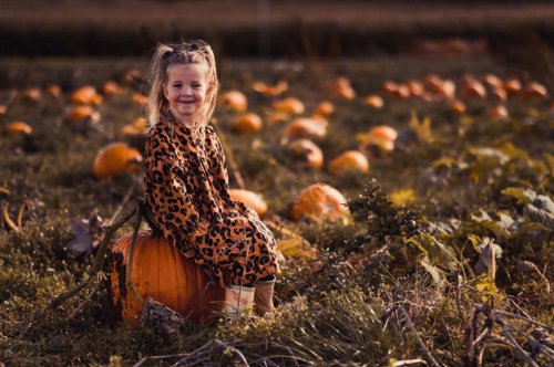 The best foodie holidays for autumn: from pumpkin picking to truffle hunting
