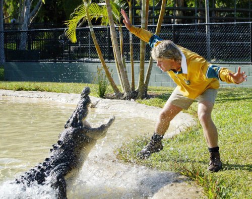 How Did Steve Irwin Die? What His Kids Have Shared About His Legacy