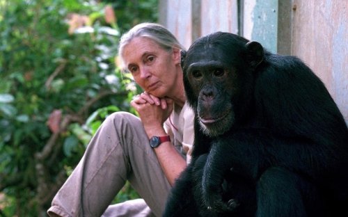 Jane Goodall dies aged 91