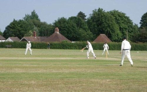 Cricket banned at 200-year-old Essex ground amid &lsquo;Nimbyism&rsquo; accusations