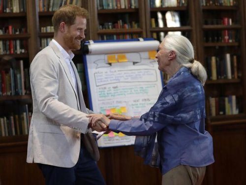 Devastated Harry and Meghan make statement after friend who held newborn Archie dies