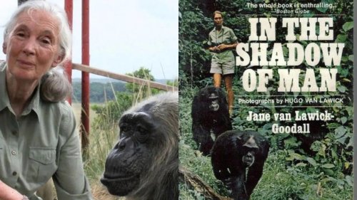 Top 5+ Jane Goodall Books That Are Beautiful Symbols Of Her Enduring Legacy