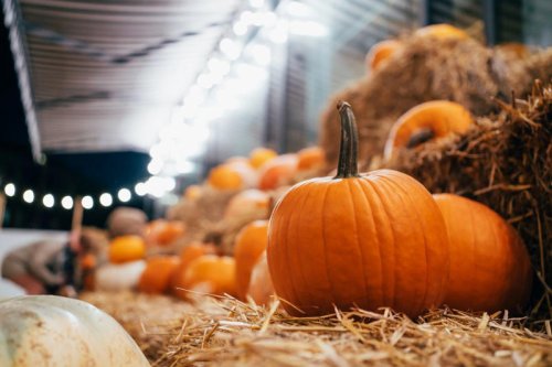 How to Carve a Pumpkin, With Tips From a Pro