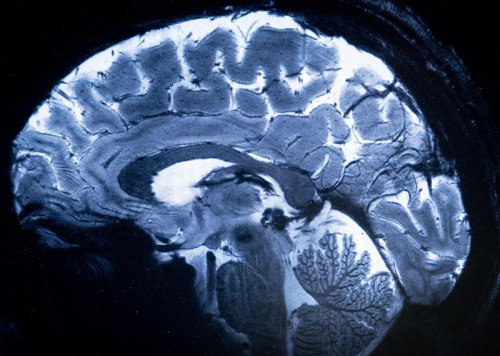 The age your brain works best at - and it&rsquo;s later than you think