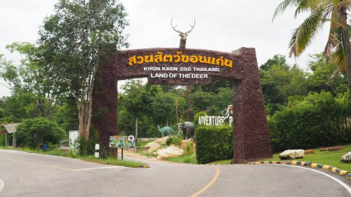 ปิดเทอมนี้ชวนดู &ldquo;ลูกฟลามิงโก้ใหญ่&rdquo; 3 ตัว สมาชิกใหม่สวนสัตว์ขอนแก่น