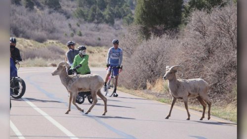 Last &lsquo;Motorless Morning&rsquo; of 2025 at Garden of the Gods Sunday!