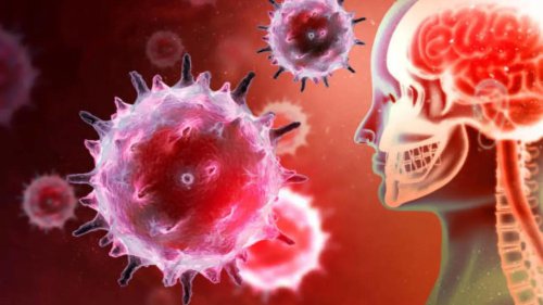 Why Are Children and Teenagers More Vulnerable to Meningitis Than Adults?