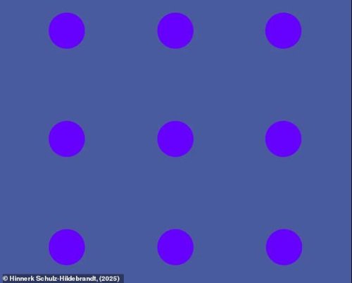 Do you see blue or purple? Mind-boggling optical illusion divides the internet - as viewers struggle...