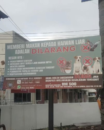 Local Council Slammed For &ldquo;Do Not Feed Strays&rdquo; Signboard