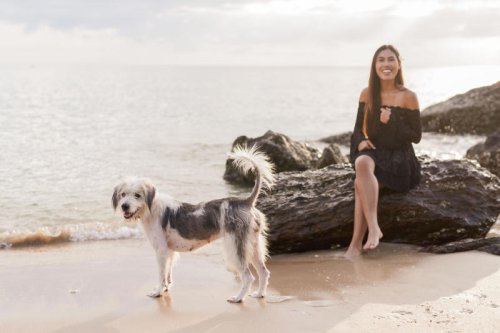 The best places to book if you want to go on holiday with your dog