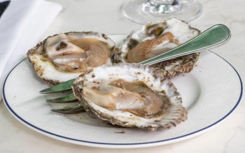 Five things you think about oysters that are all wrong