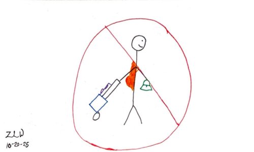 Enough with the TikTok hacks! Stick to the carry-on limits, make room for others.